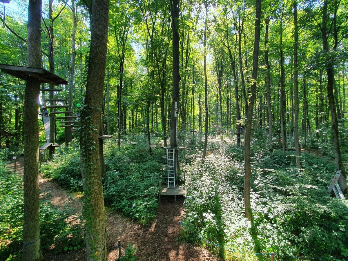 Ferienhaeuser Oberdorla Exteriér fotografie